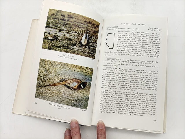 The Birds of Alberta by A L Wilk & W Ray Salt (Hardcover, 1966) 1st edition by "A L Wilk W Ray Salt"
