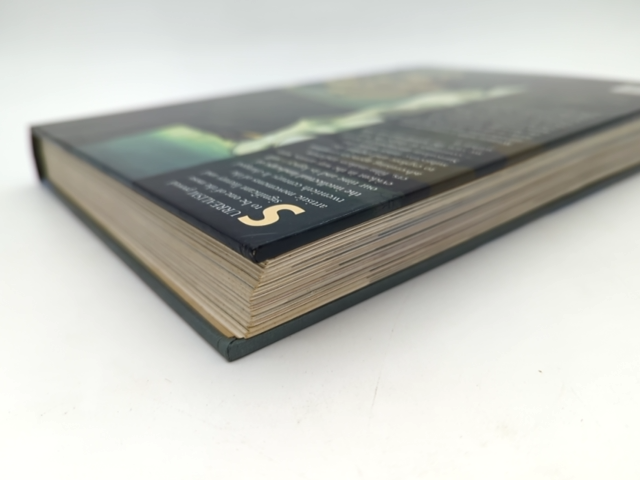 Essential Surrealists by Tim Martin (Hardcover, 1999) 1st Edition  Art History by Tim Martin