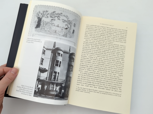 Aubrey Beardsley Biography by Matthew Sturgis, Art History by Matthew Sturgis