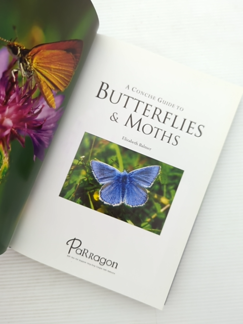 Concise Guide To Butterflies Moths by Elizabeth Balmer, Butterflies & Moths by Elizabeth Balmer