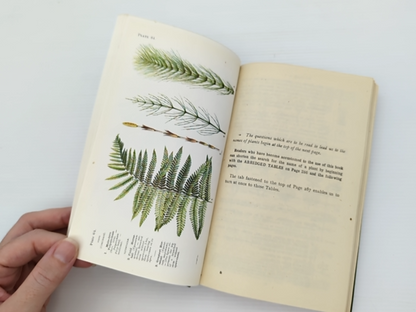 Name The Flower by Gaston Bonnier (Hardcover, 1944) by Gaston Bonnier