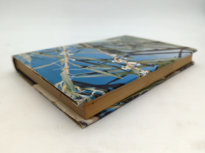 Between Wodjil And Tor by Barbara York Main (Hardcover, 1967) by Barbara York Main