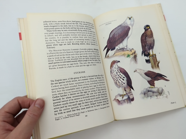 Common Malayan Birds. Illustrated By A. Fraser-brunner. by M.W.F. Tweedie by M.W.F. Tweedie