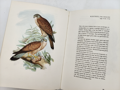 Birds Of Europe: Volume One by A. Rutgers (Text), Illustrations John Gould  1966 by "John Gould A. Rutgers"