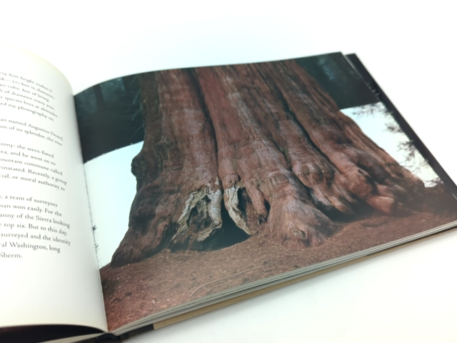 Tree: A New Vision of the American Forest by Jim Balog (Hardcover, 2005) 1st Ed by Jim Balog