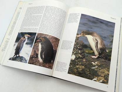 Eric Hosking's Seabirds by R. M. Lockley & E Hosking (Hardcover, 1983) 1st Ed by "R. M. Lockley Eric Hosking"