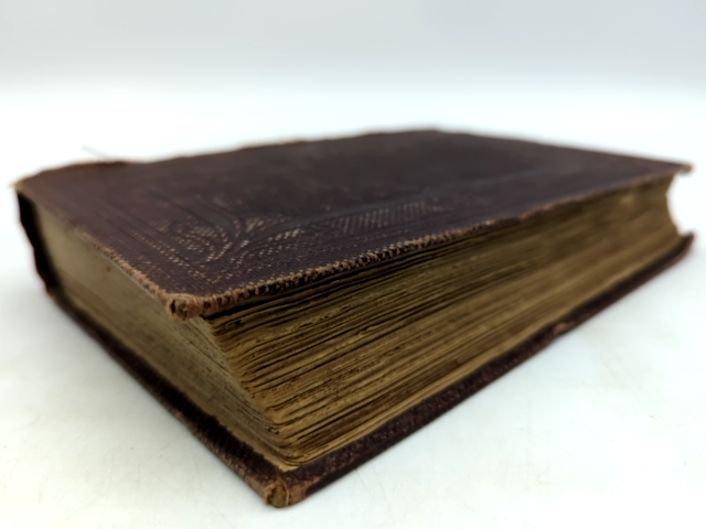 The Old Red Sandstone by Hugh Miller (Cloth, 1859) Science & Medicine by Hugh Miller