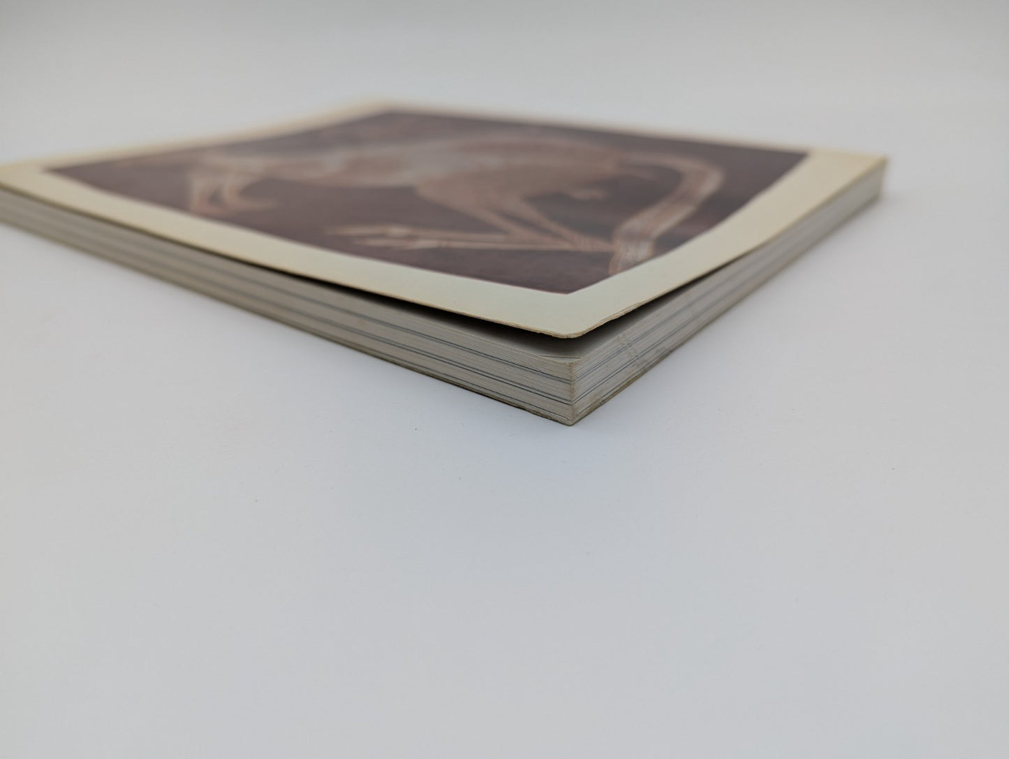 Aboriginal Australia, Australian Gallery Directors Council, Book, 1981 1st Ed by Australian Gallery Directors Council