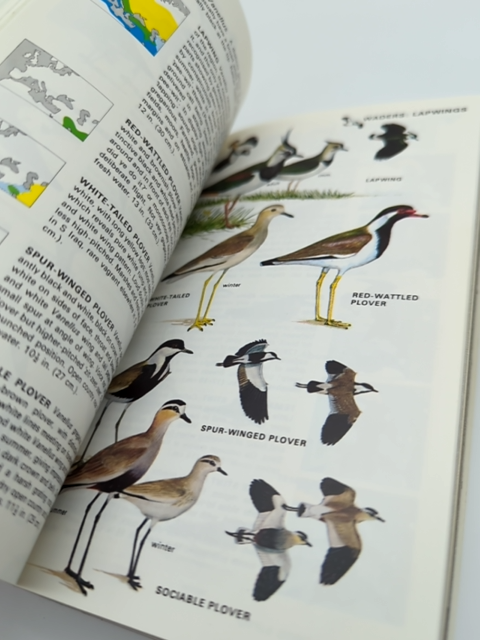 The Collins Guide to the Birds of Britain and Europe (Collins Pocket Guide), Her by Hermann Heinzel