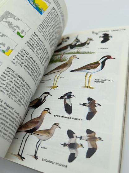 The Collins Guide to the Birds of Britain and Europe (Collins Pocket Guide), Her by Hermann Heinzel