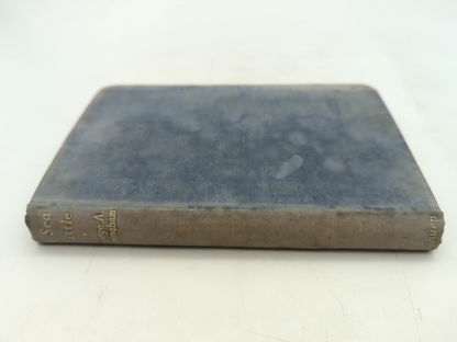 A Sea Battle by George A Birmingham (Hardcover, 1948) Vintage Fiction by George A Birmingham