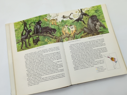 World Guide to Mammals by Nicole Duplaix & Noel Simon (Hardcover, 1984) by Random House Value Publishing Staff, Outlet Book Company Staff