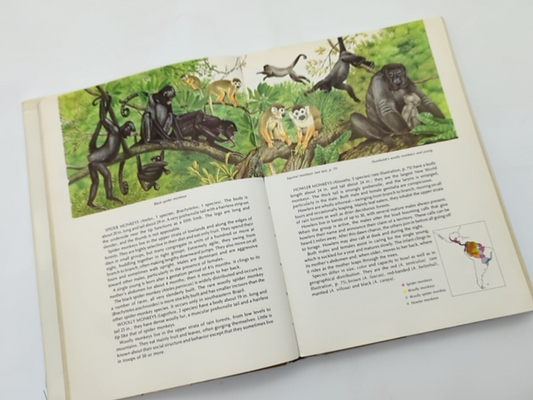 World Guide to Mammals by Nicole Duplaix & Noel Simon (Hardcover, 1984) by Random House Value Publishing Staff, Outlet Book Company Staff