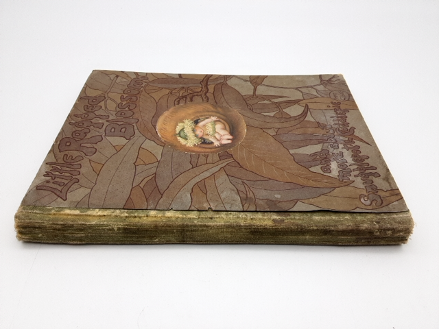 Little Ragged Blossom & More About Snugglepot & Cuddlepie May Gibbs 1920 1st Ed by May Gibbs