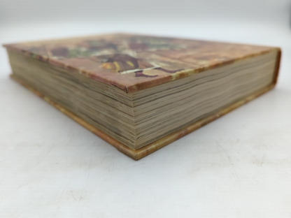 The Children's Bible: Old & New Testament, Illustrated Hardcover, Christian by Joseph A. Et Al Grispino