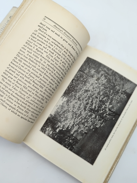 America's Greatest Garden by Ernest H Wilson (Hardcover, 1929) Natural History by Ernest H Wilson