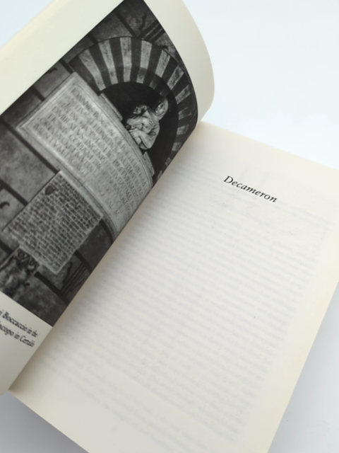 Decameron by Giovanni Boccacci (Paperback, 2008) Classic Literature by Giovanni Boccaccio