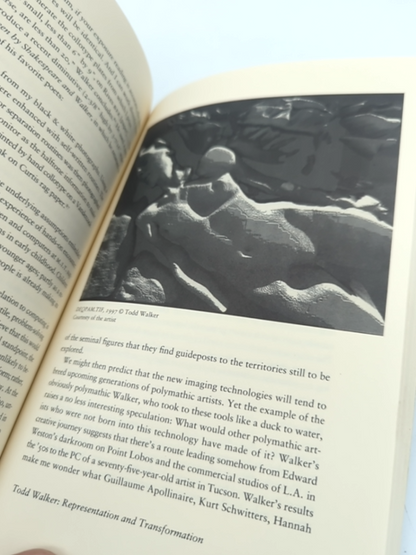 The Digital Evolution: Visual Communication in the Electronic Age : Essays, Lect by A. D. Coleman