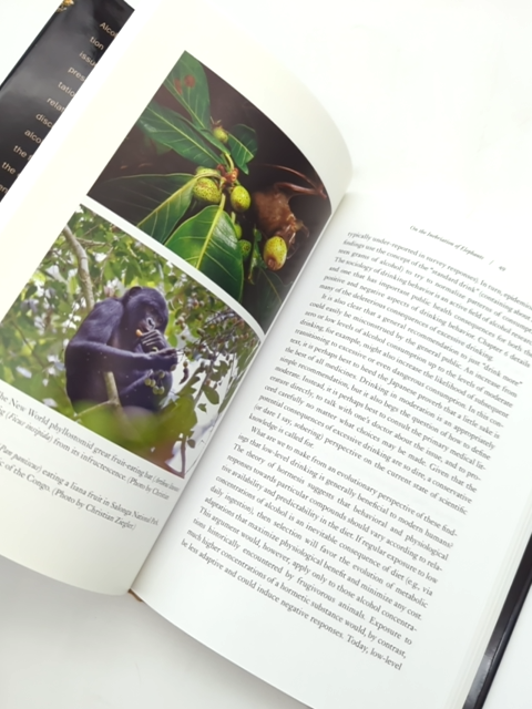 The Drunken Monkey: Why We Drink And Abuse Alcohol by Robert Dudley by Robert Dudley