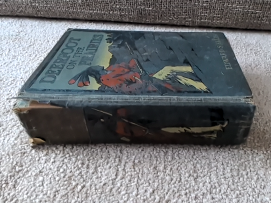 Deerfoot On The Prairies by Edward S Ellis (Hardcover, 1920) Americana by Edward S Ellis