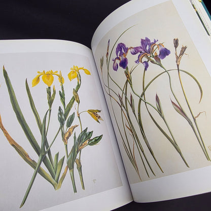 A Passion for Plants: Contemporary Botanical Masterworks — photo 10
