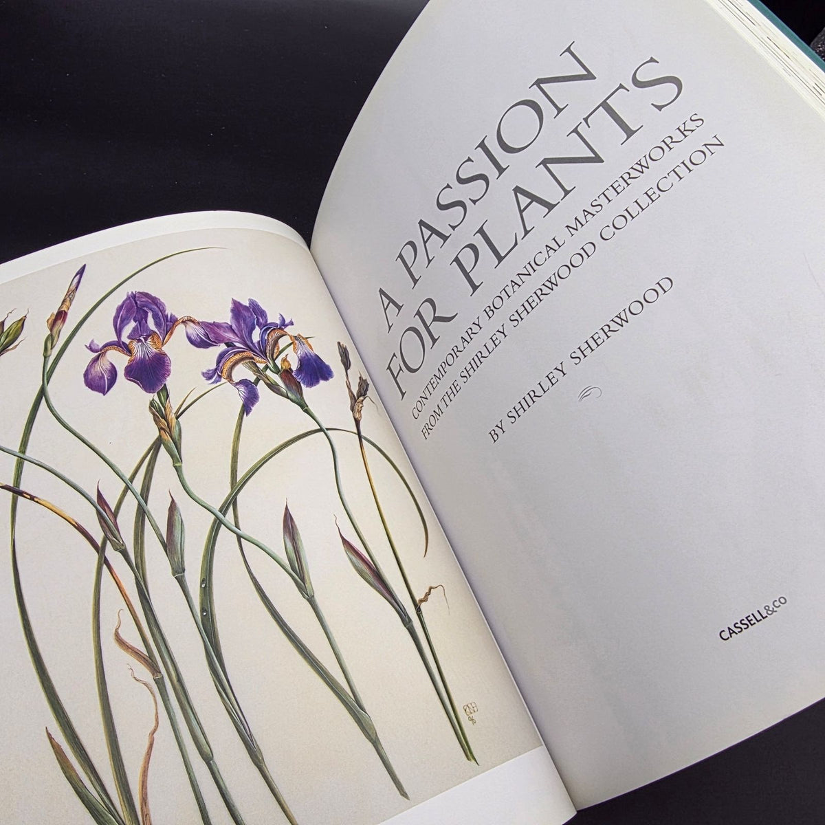A Passion for Plants: Contemporary Botanical Masterworks — photo 3