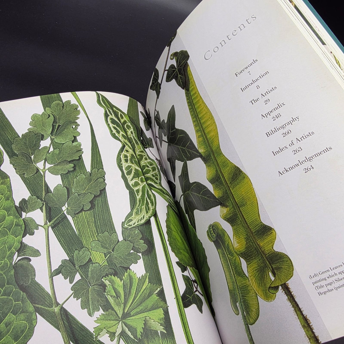 A Passion for Plants: Contemporary Botanical Masterworks — photo 4