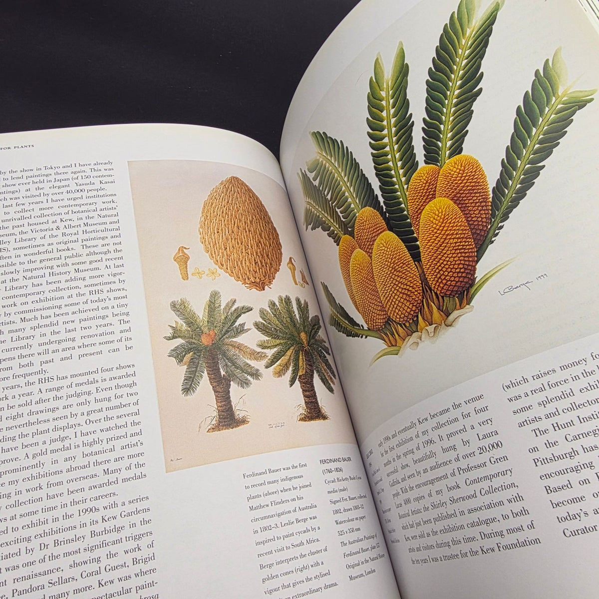 A Passion for Plants: Contemporary Botanical Masterworks — photo 6