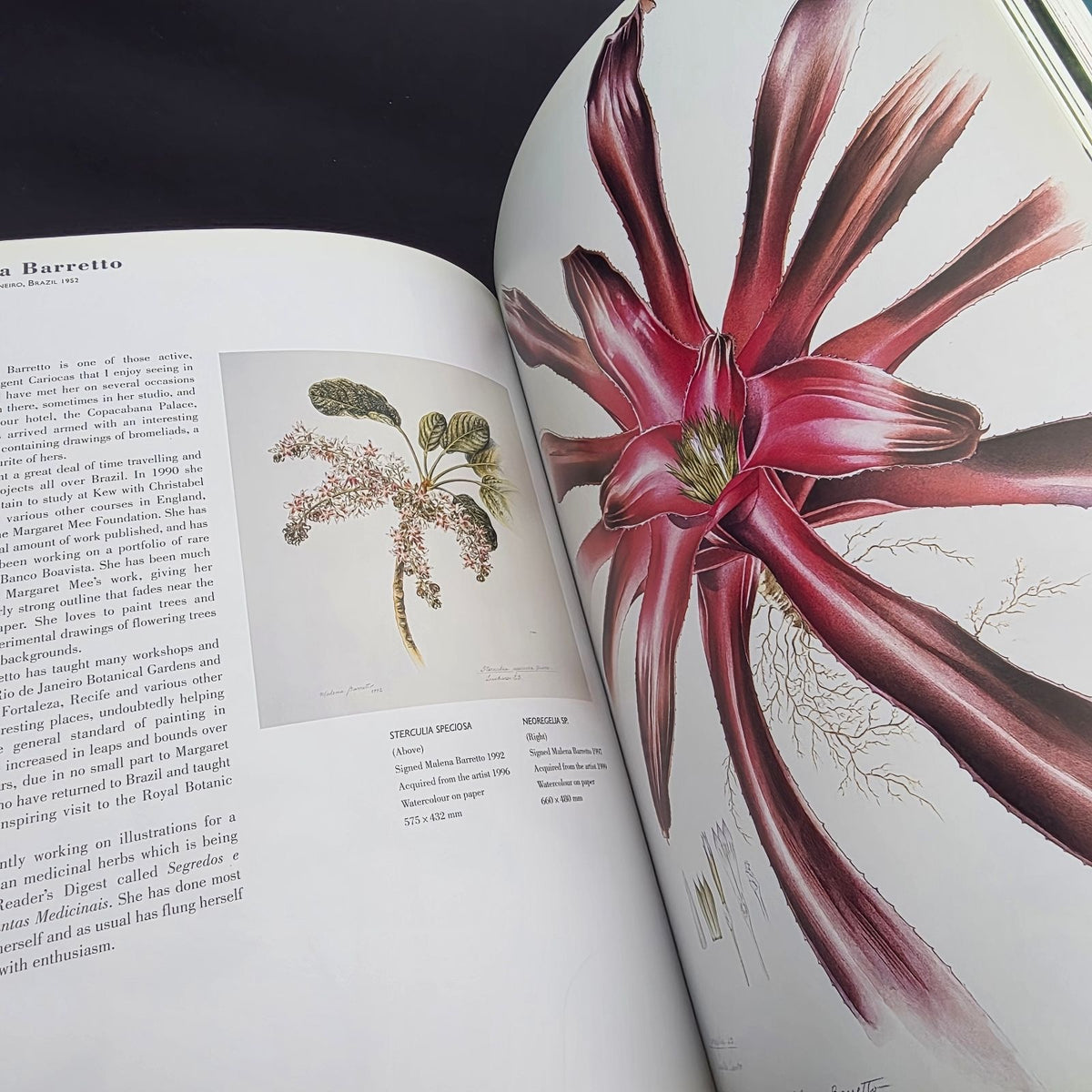 A Passion for Plants: Contemporary Botanical Masterworks — photo 7