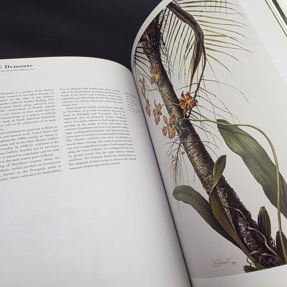 A Passion for Plants: Contemporary Botanical Masterworks — photo 8