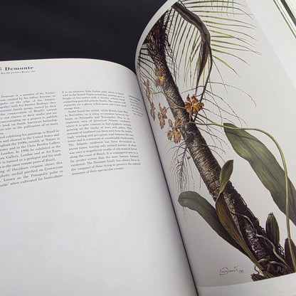 A Passion for Plants: Contemporary Botanical Masterworks — photo 8