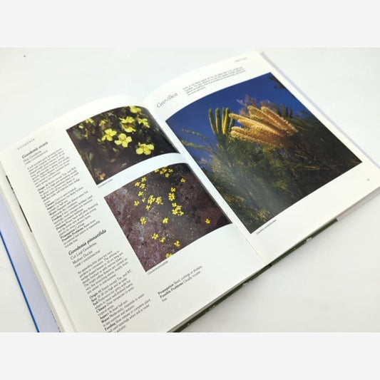Allan Seale's Garden Companion Guide To Native Plants by Allan Seale, Gardening by Allan Seale — photo 2