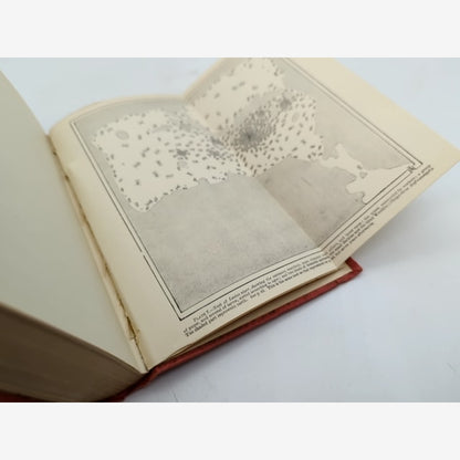 Ants, Bees And Wasps by Sir John Lubbock (Cloth, 1915) Natural History by Sir John Lubbock — photo 2