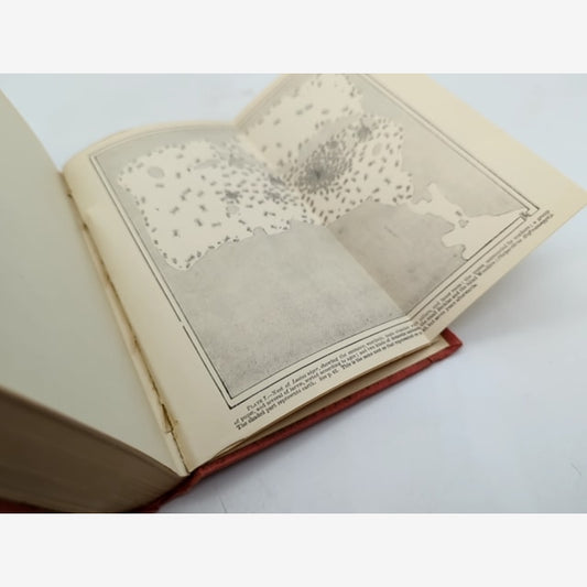 Ants, Bees And Wasps by Sir John Lubbock (Cloth, 1915) Natural History by Sir John Lubbock — photo 2