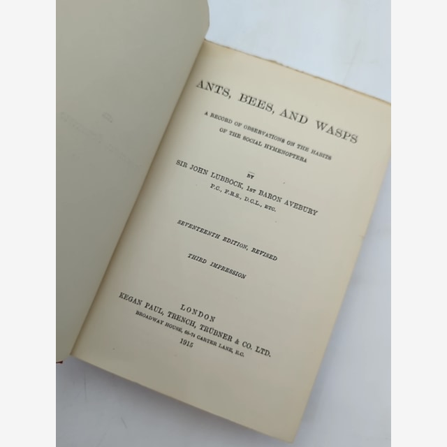 Ants, Bees And Wasps by Sir John Lubbock (Cloth, 1915) Natural History by Sir John Lubbock — photo 5
