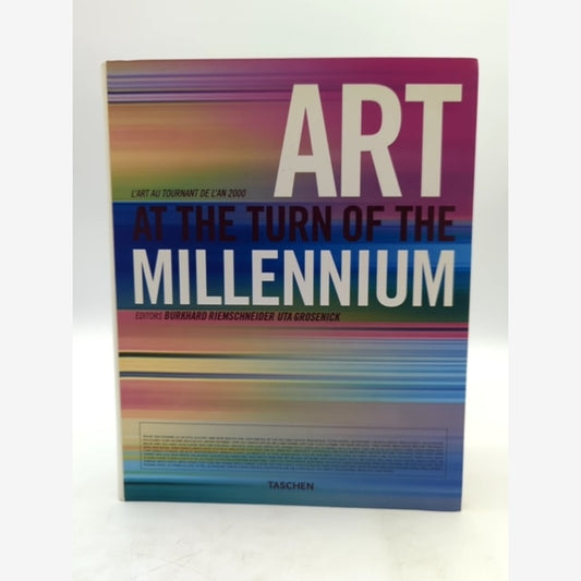 Art At The Turn Of The Millennium by Christoph Blase & Lars Bang Larsen, Artists by Burkhard Reimschneider book cover