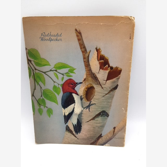 At Home With the Birds: A Book on Nesting Habits by Alfred M Bailey, Ornithology — photo 5