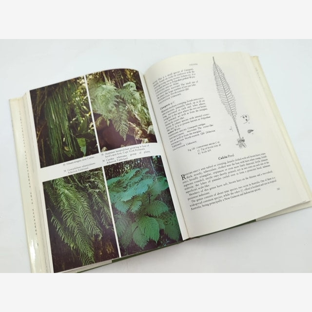 Australian Ferns And Fern Allies, With Notes On Their Cultivation, David L Jones by David L Jones — photo 5