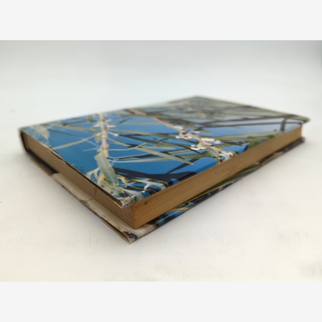 Between Wodjil And Tor by Barbara York Main (Hardcover, 1967) by Barbara York Main — photo 4