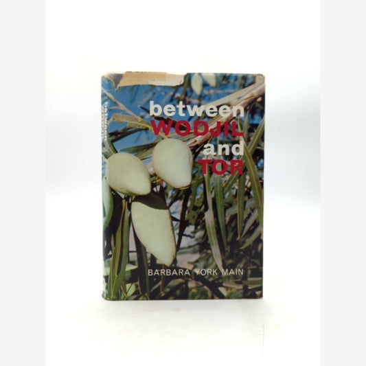 Between Wodjil And Tor by Barbara York Main (Hardcover, 1967) by Barbara York Main book cover