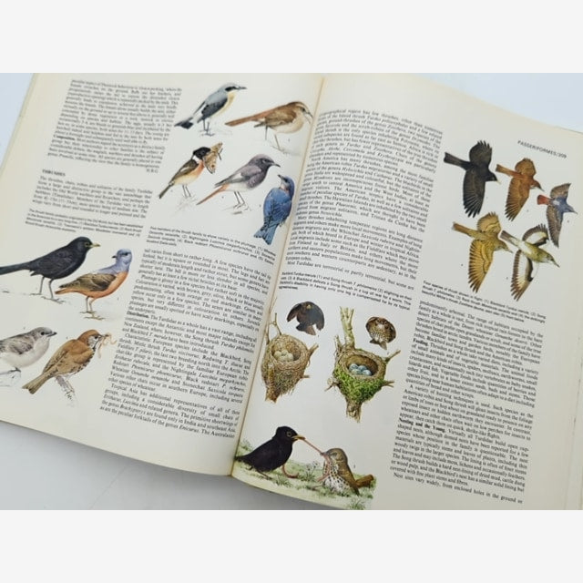 Bird Families Of The World by Dr CJO Harrison (Hardcover, 1978) Birds — photo 2