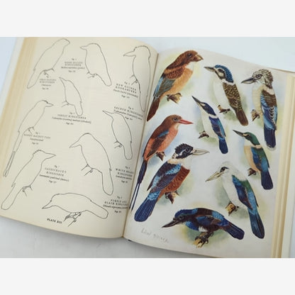 Birds Of New Guinea by Tom Iredale (Hardcover, Volume 1, 1956) 1st Edition — photo 3