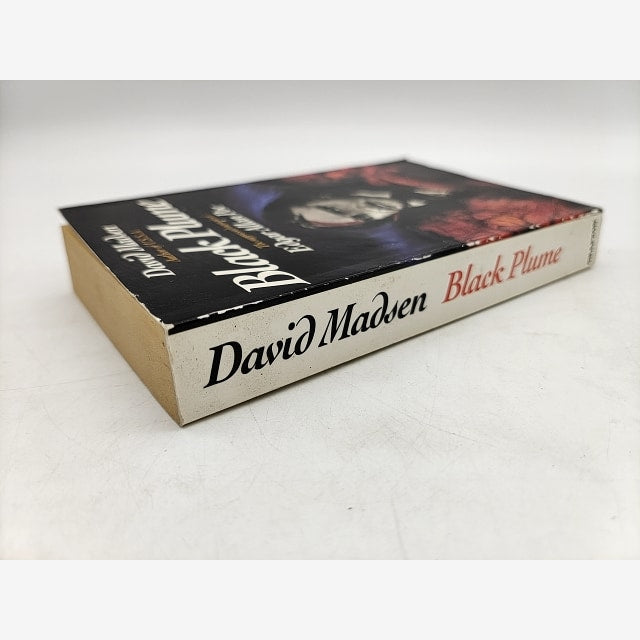 Black Plume: Suppressed Memoirs of Edgar Allan Poe by David Madsen, 1991 by David Madsen — photo 5