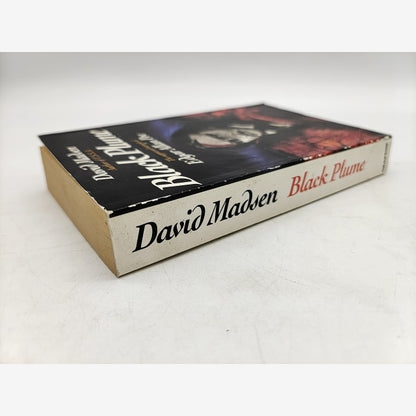 Black Plume: Suppressed Memoirs of Edgar Allan Poe by David Madsen, 1991 by David Madsen — photo 5