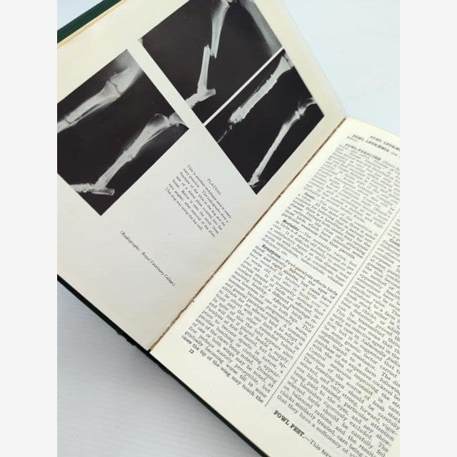 Black's Veterinary Dictionary 1964, Vintage 7th Edition by William C Miller And Geoffrey P West — photo 4