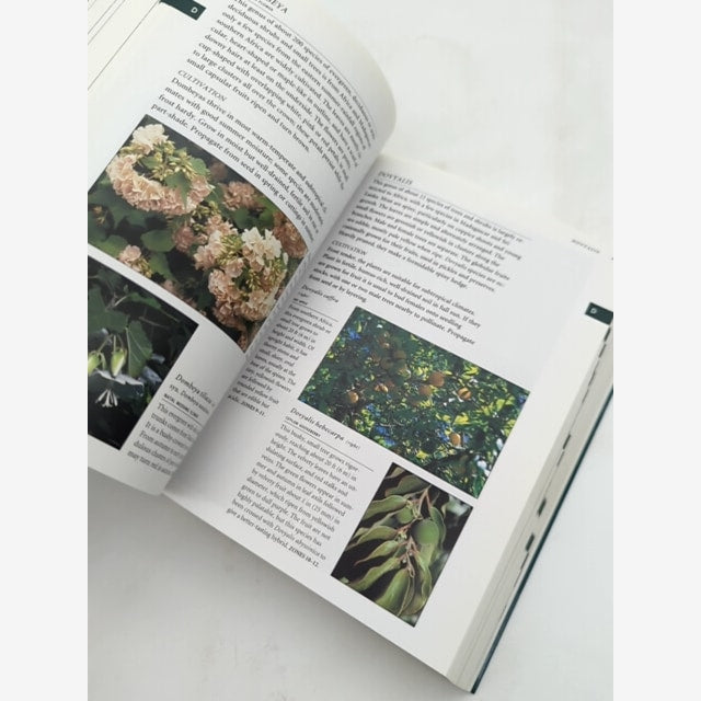 Botanica's Pocket Trees And Shrubs by Anna Cheifet, Botany — photo 2