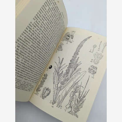 Botanical Latin by William T Stearn (Cloth, 1966) Science & Medicine by William T Stearn — photo 2
