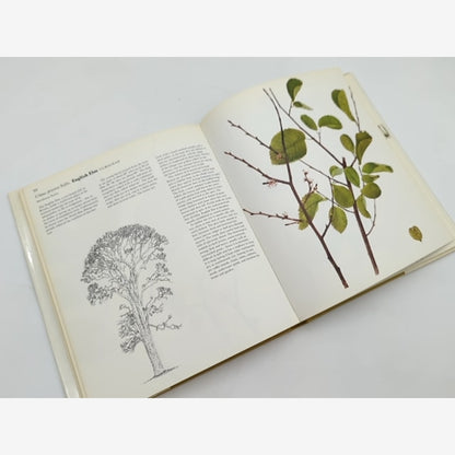 British Trees In Colour by Charles Raymond Cyril Hart (Hardcover, 1977) unknown — photo 2