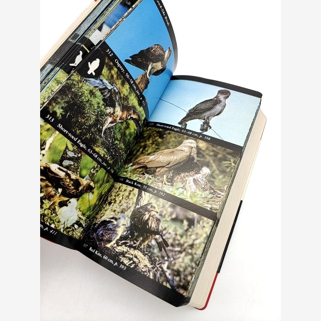 Collins Bird Guide by "John Gooders Stuart Keith" (Paperback, 1983) Birdwatching by "John Gooders Stuart Keith" — photo 6