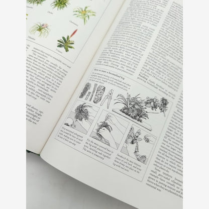 Complete Guide To Indoor Plants (readers Digest) by Readers Digest, Indoor Games by Not Available — photo 2